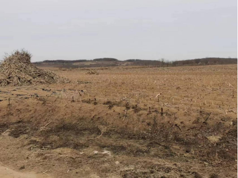 1707207613434086.png image.png